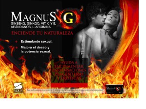 FLYER MAGNUS G