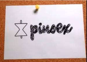 pinsex